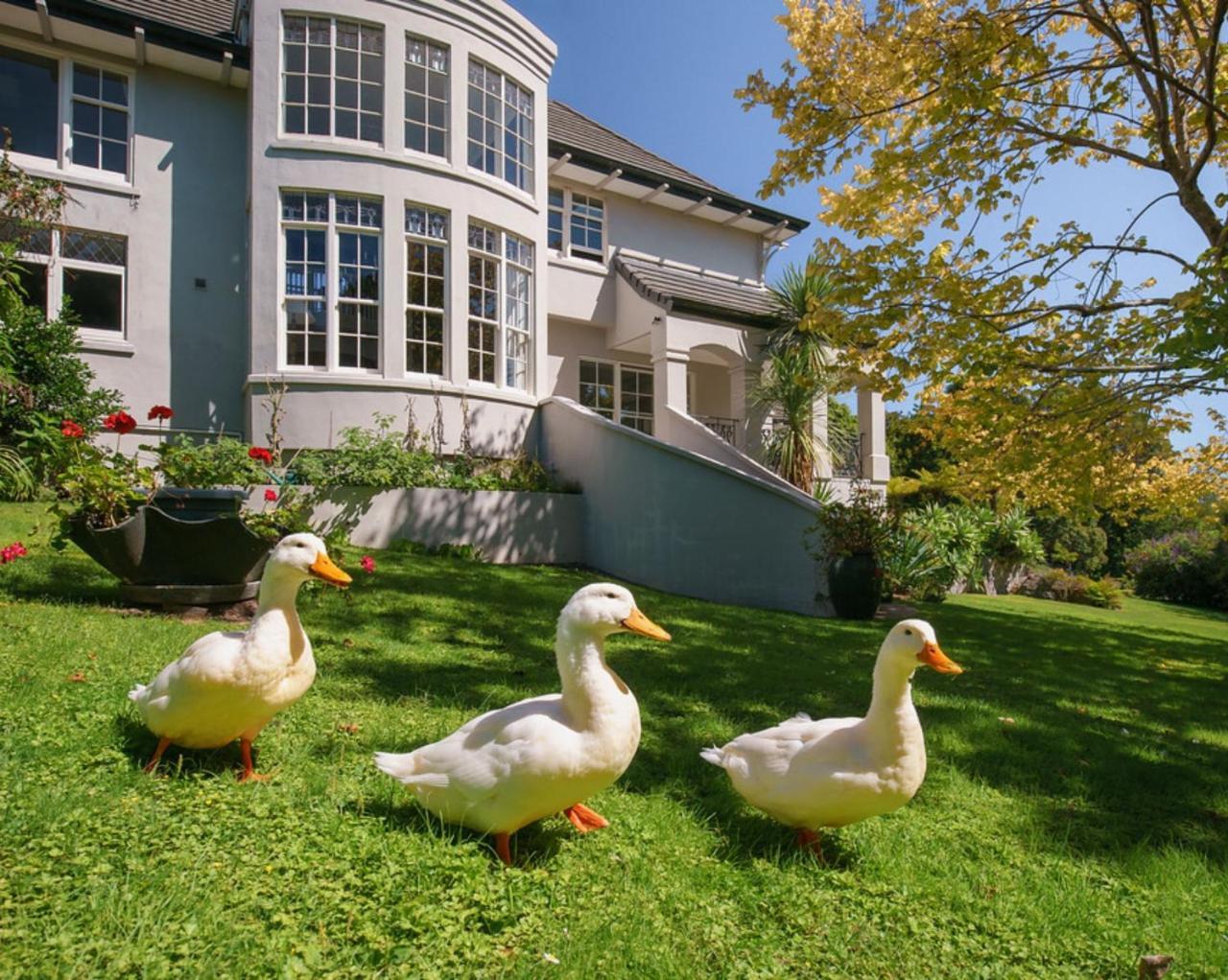 Greenmantle Estate Hotel Paraparaumu Eksteriør bilde