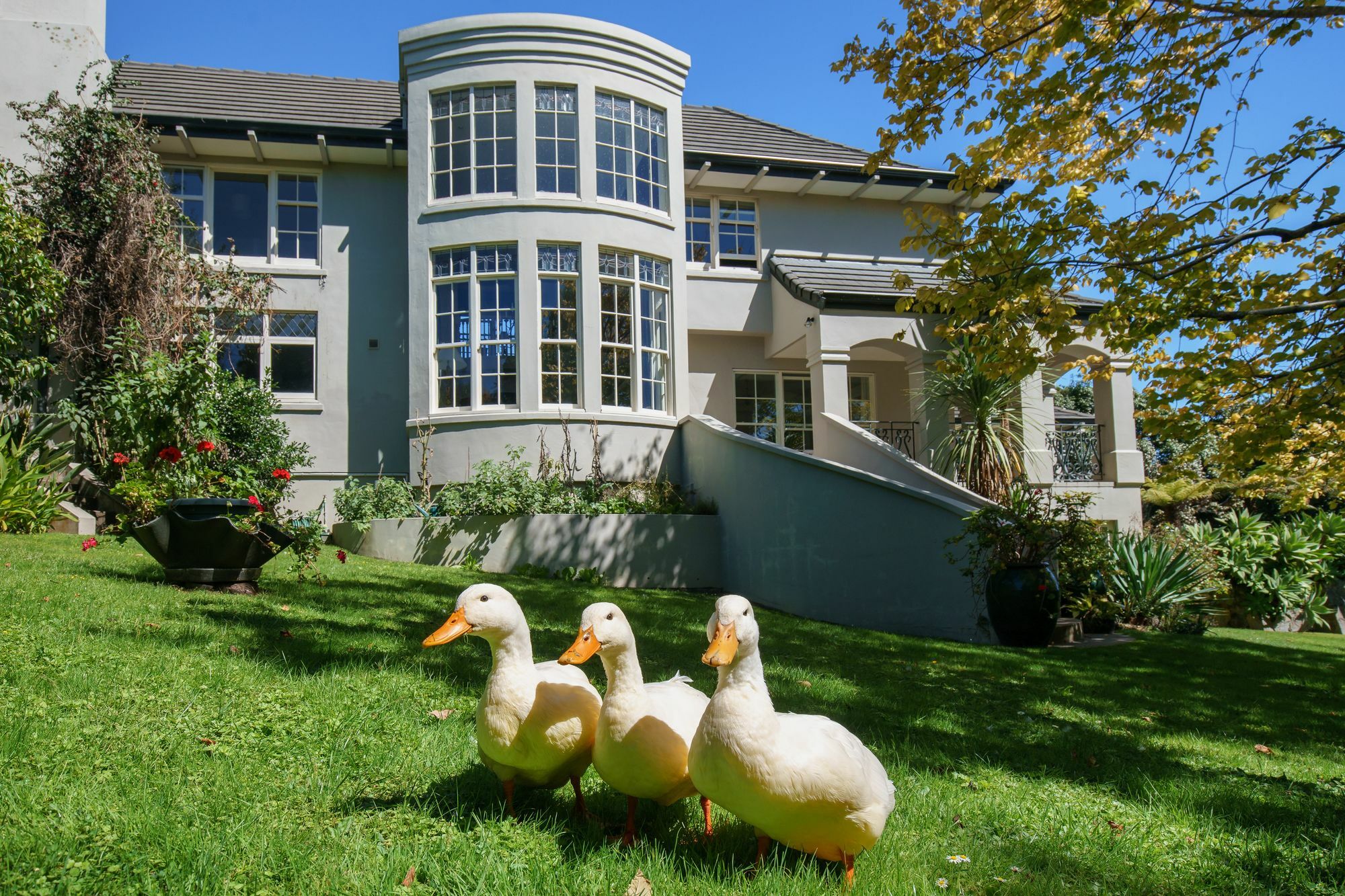 Greenmantle Estate Hotel Paraparaumu Eksteriør bilde